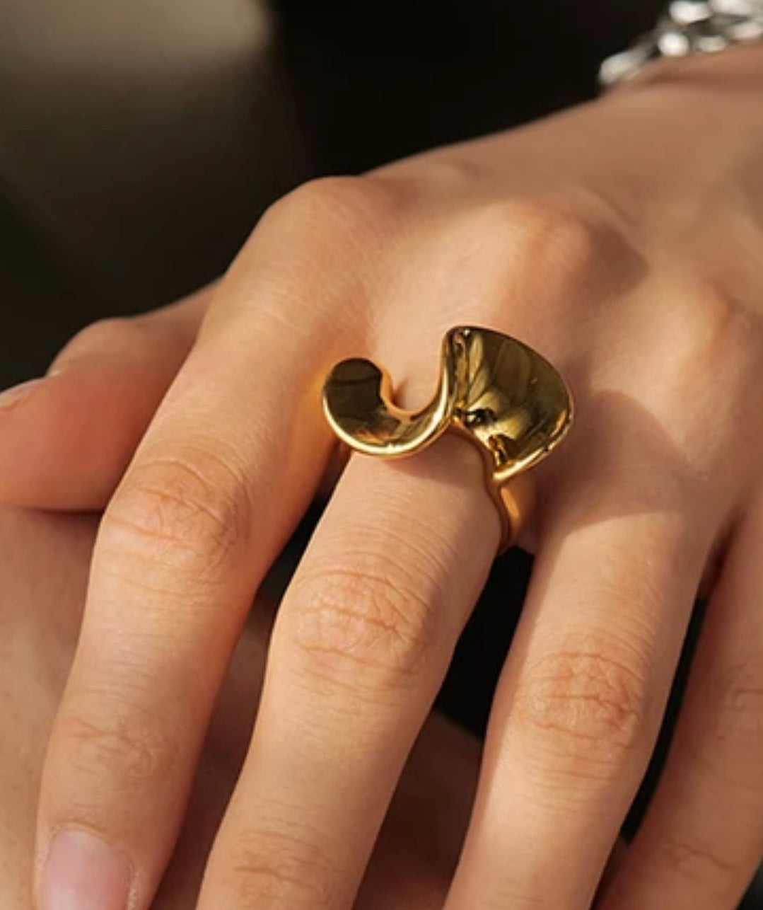 Anillo Aude Oro