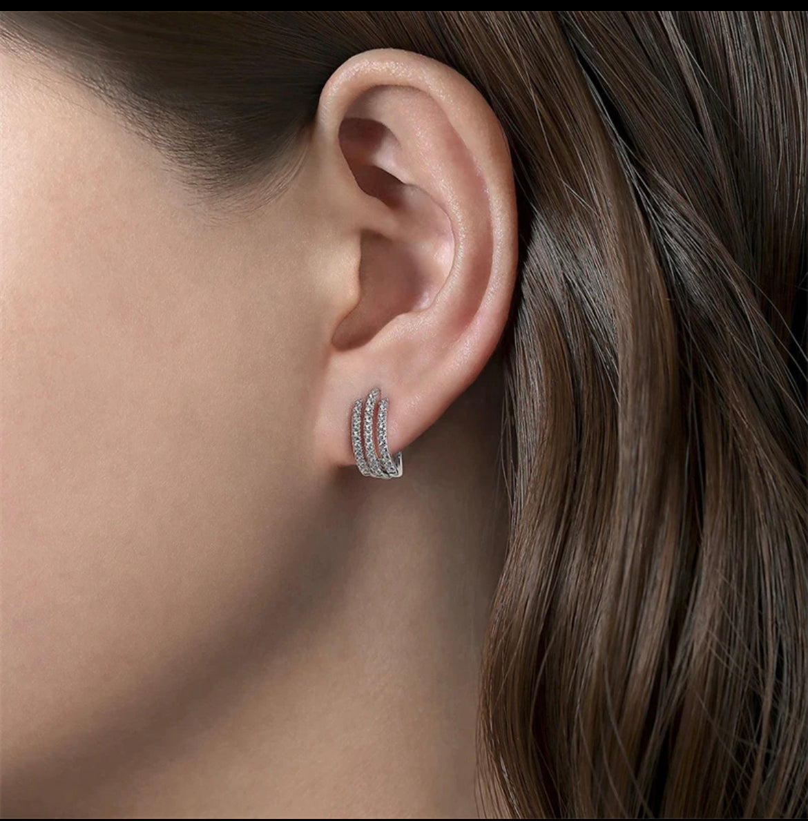 Aretes Hans